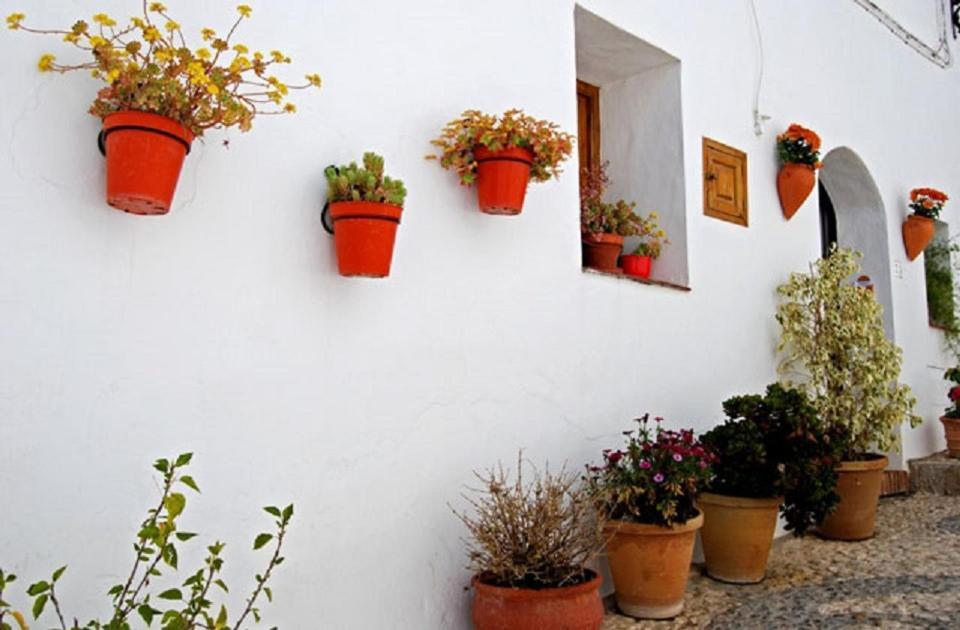 De 2 Apartment Torrox